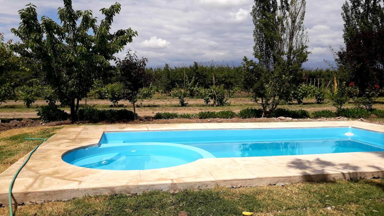Casa Rural Entre Bodegas Y Vinedos ' El Jarillal" La Consulta エクステリア 写真