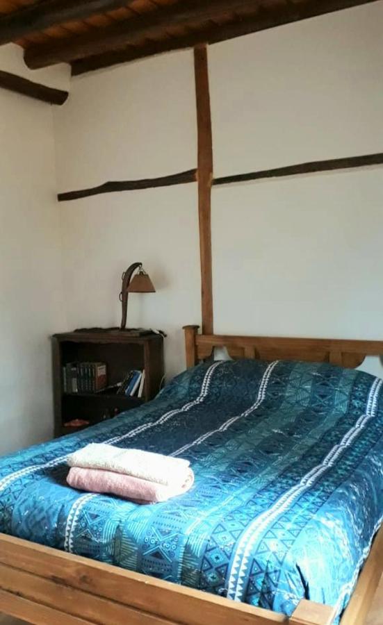 Casa Rural Entre Bodegas Y Vinedos ' El Jarillal" La Consulta エクステリア 写真
