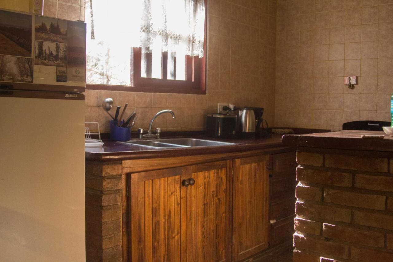 Casa Rural Entre Bodegas Y Vinedos ' El Jarillal" La Consulta エクステリア 写真