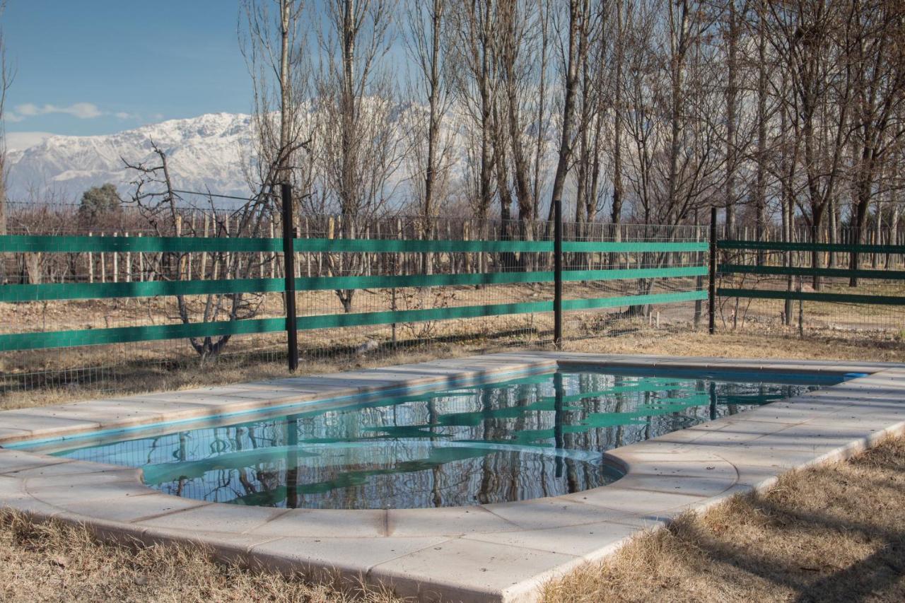 Casa Rural Entre Bodegas Y Vinedos ' El Jarillal" La Consulta エクステリア 写真