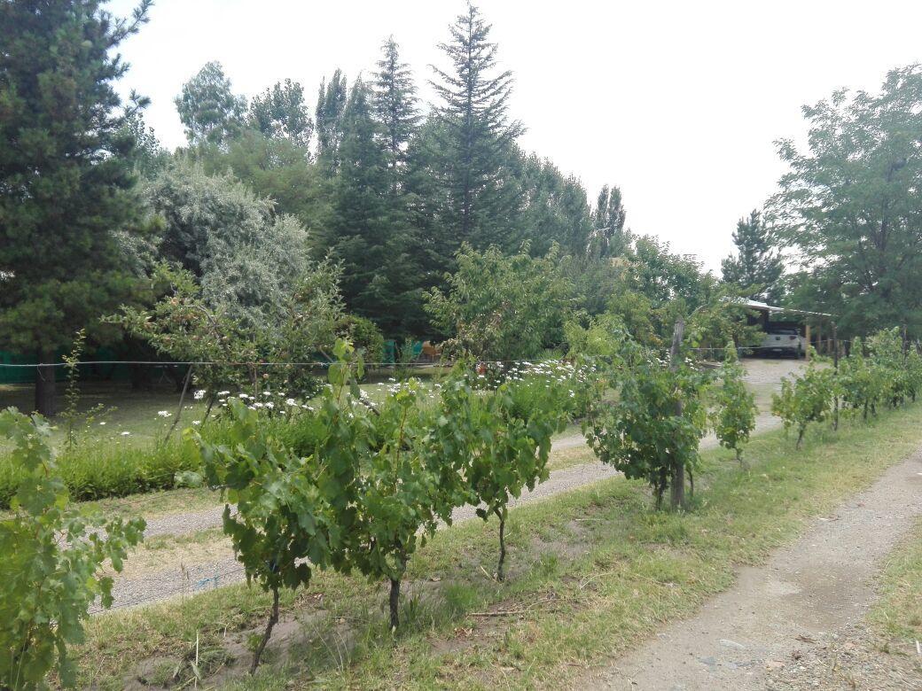 Casa Rural Entre Bodegas Y Vinedos ' El Jarillal" La Consulta エクステリア 写真