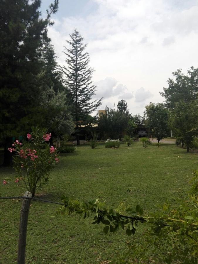 Casa Rural Entre Bodegas Y Vinedos ' El Jarillal" La Consulta エクステリア 写真