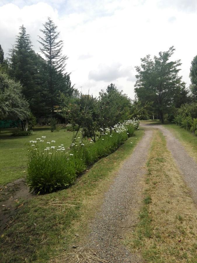 Casa Rural Entre Bodegas Y Vinedos ' El Jarillal" La Consulta エクステリア 写真
